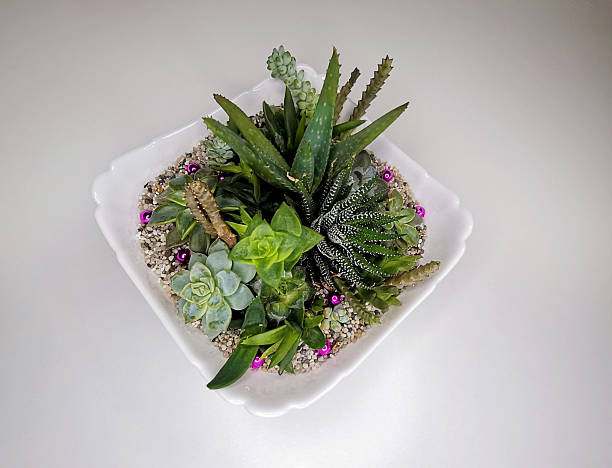 Organiska gödningsmedel